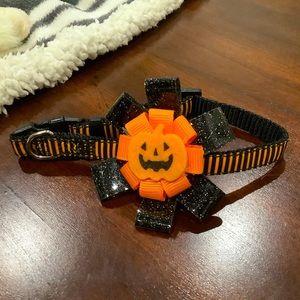 🔥Halloween 🎃 Dog Collar